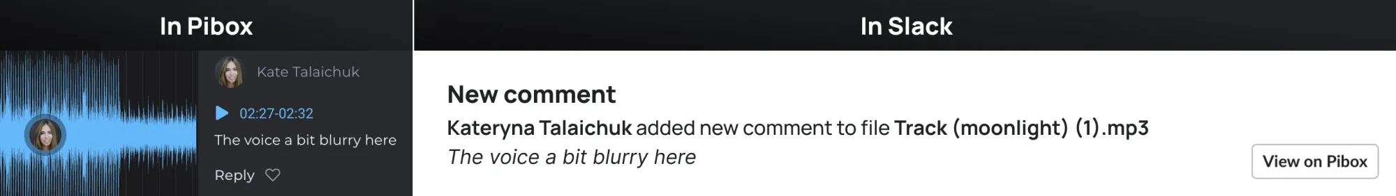 Notification from Pibox in Slack "New Comment"