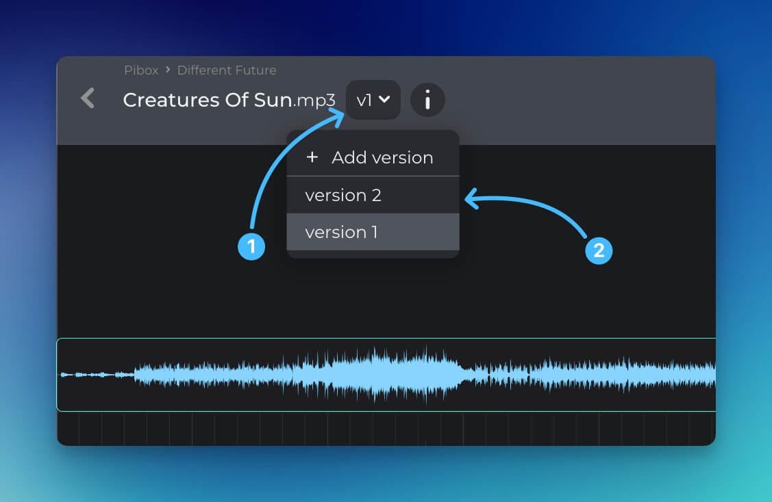 The Pibox Version compare feature