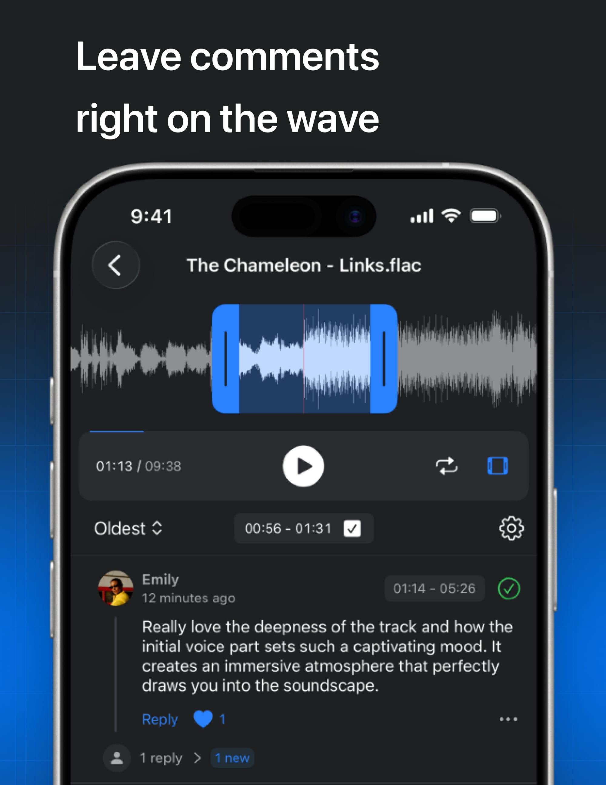Pibox iOS app comments on waveform
