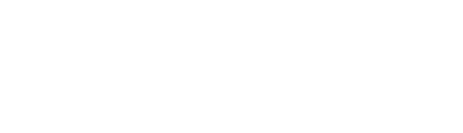 Michigan Technological University